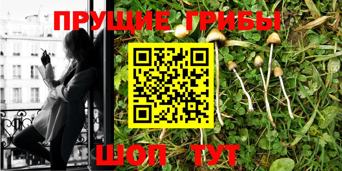 Галлюциногенные грибы Cubensis  Вход с VPN  Сарапул 